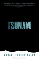 tsunami.jpg