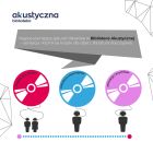 miniatura Infografika_10 lat audiobooków w Polsce_4